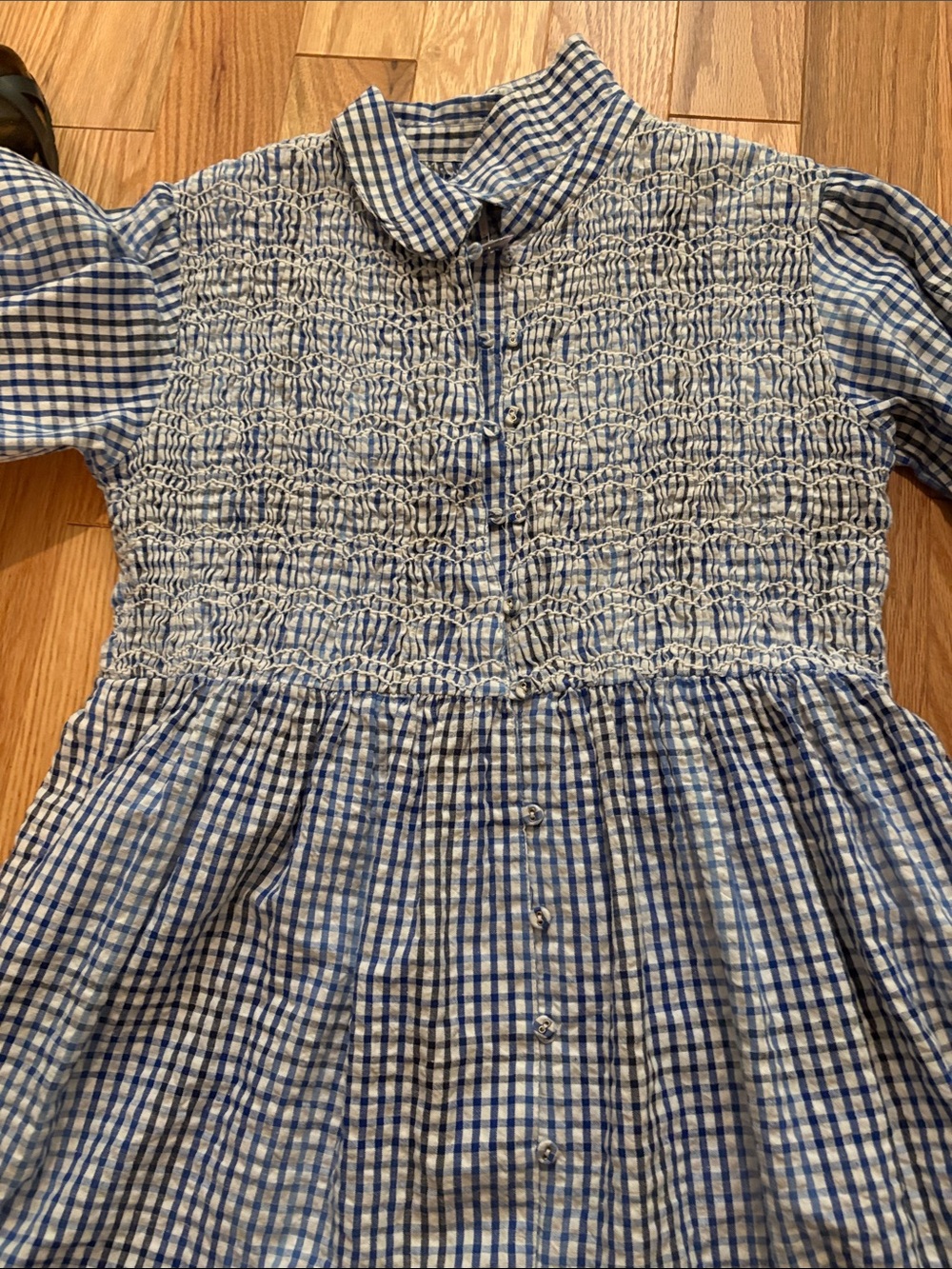 Blue Gingham Smocked Button-Front top